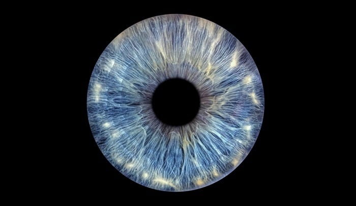 human eye